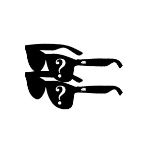 Sunglasses Grab Bag x2